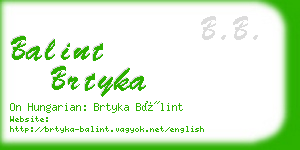 balint brtyka business card